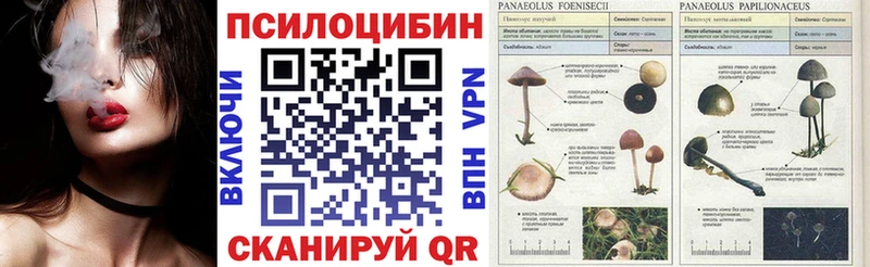 Псилоцибиновые грибы Magic Shrooms  наркотики  Ивантеевка 